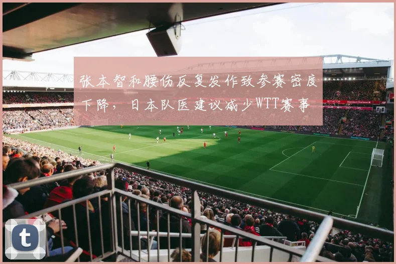 张本智和腰伤反复发作致参赛密度下降，日本队医建议减少WTT赛事